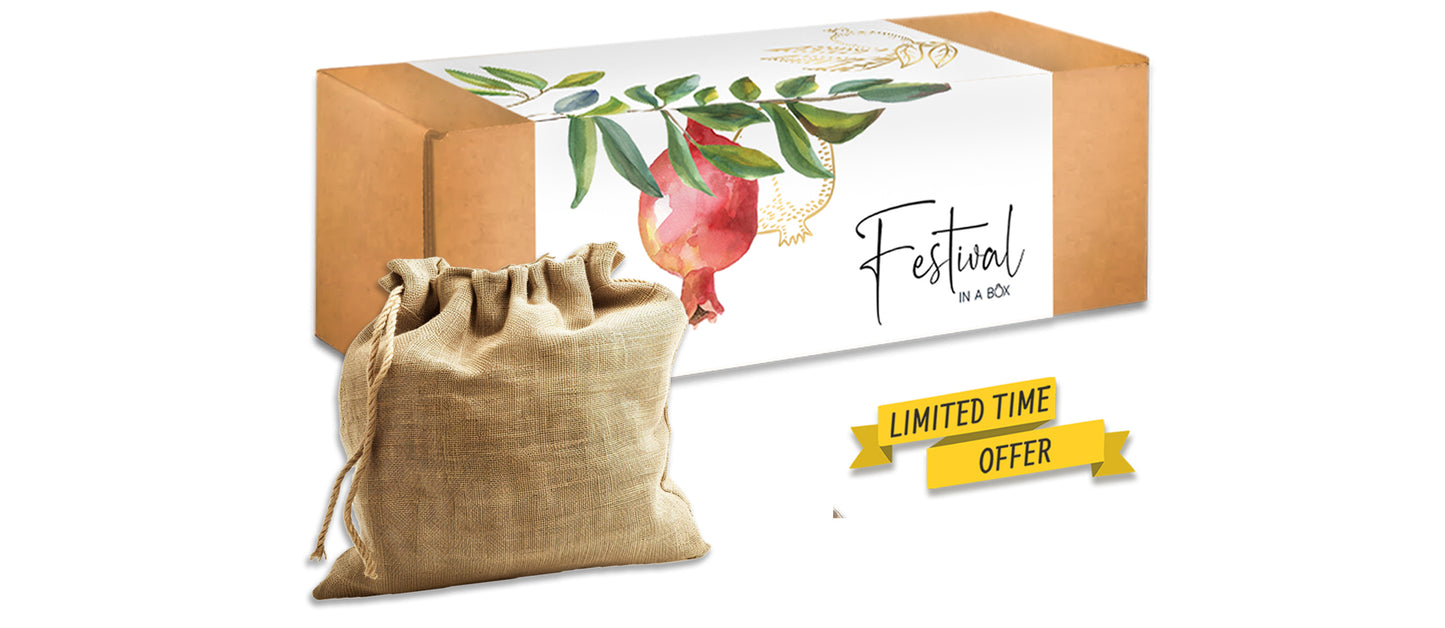 Passover Box | Festival-in-a-Box
