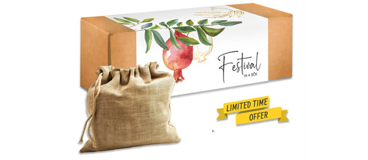 Passover Box | Festival-in-a-Box